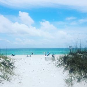 Meet your Posher, Allie